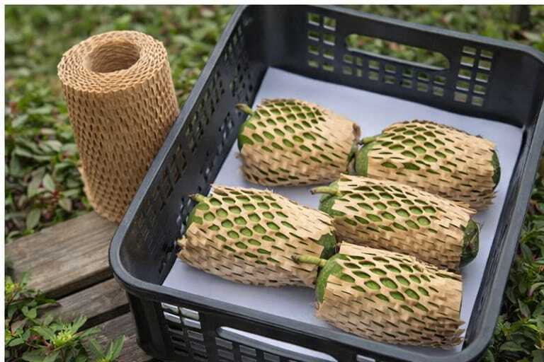 Honeycomb Paper Sleeves For Fruits Cushioning