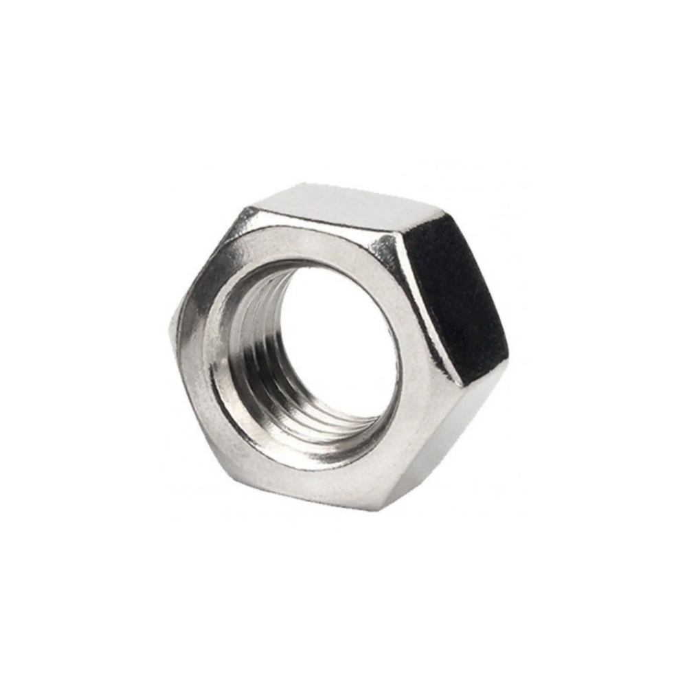 SS HEX NUT