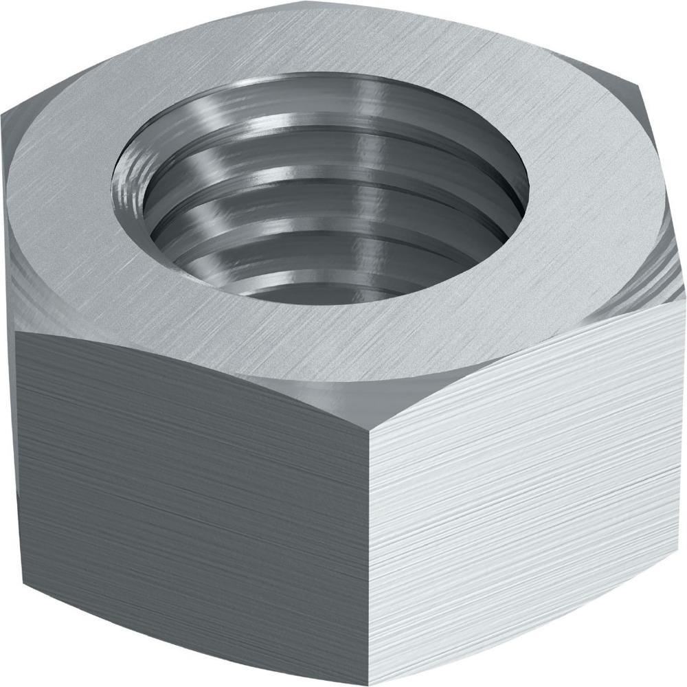 SS HEX NUT