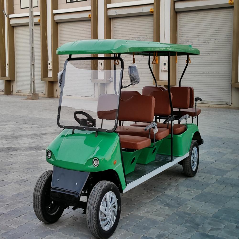 Electric Buggies