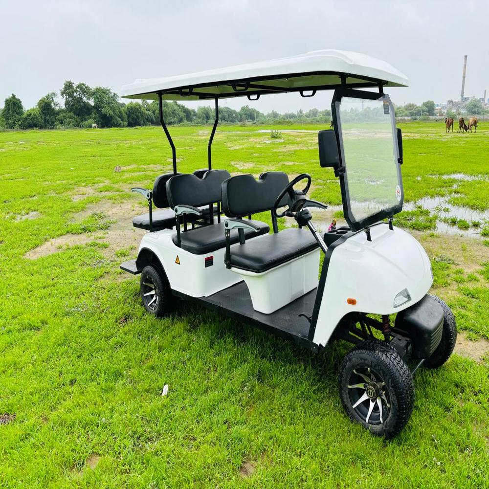 6 Seater Golf Cart - Charger Type: Lfp
