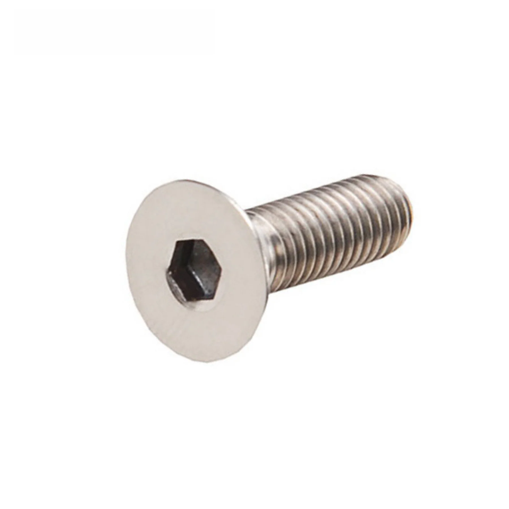 SS ALLEN CSK SCREW