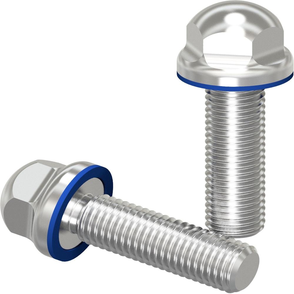 SS DOME BOLT