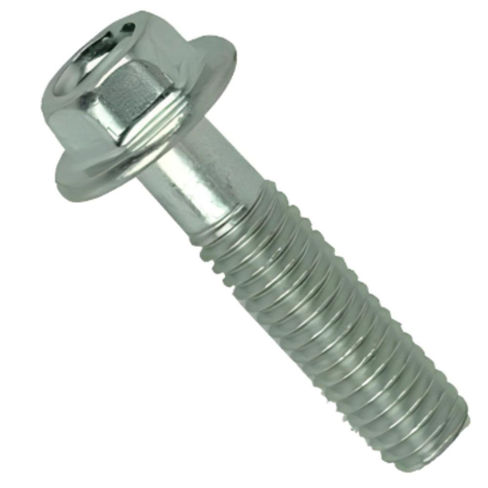 Ss Flange Bolt - Application: All Available