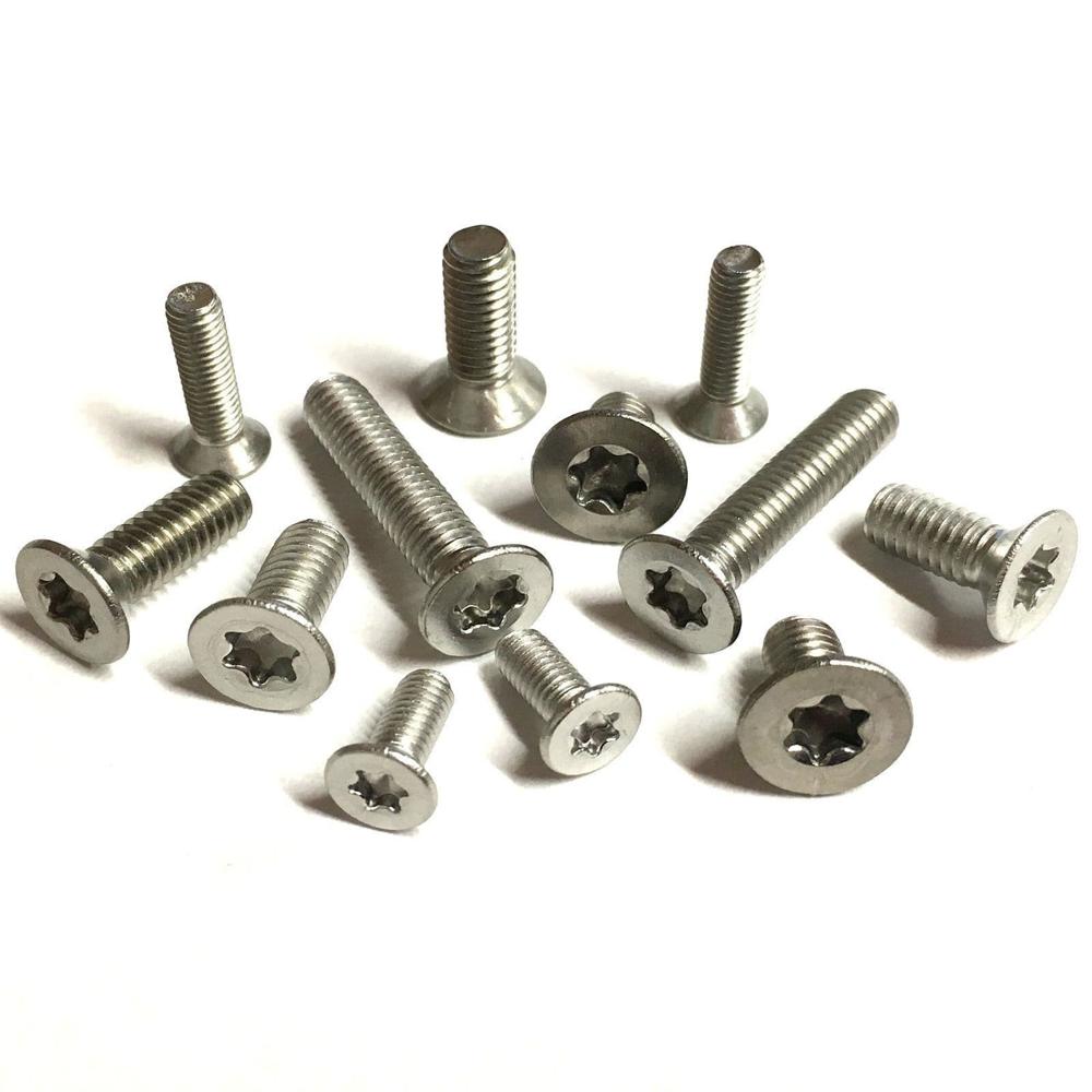 SS CSK PIN TORX SCREW