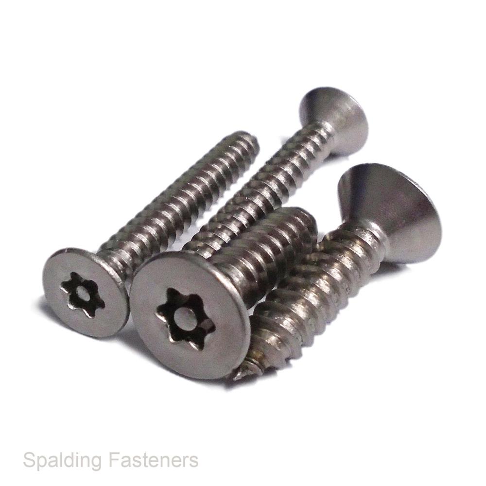SS CSK PIN TORX SCREW
