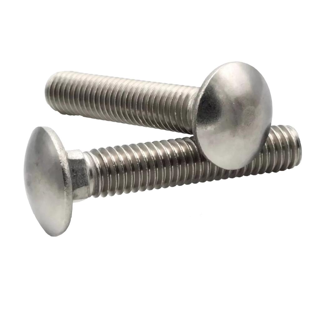 SS CARRIAGE BOLT
