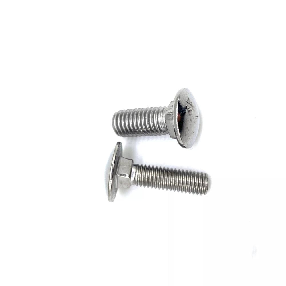 Ss Carriage Bolt - Application: All Available