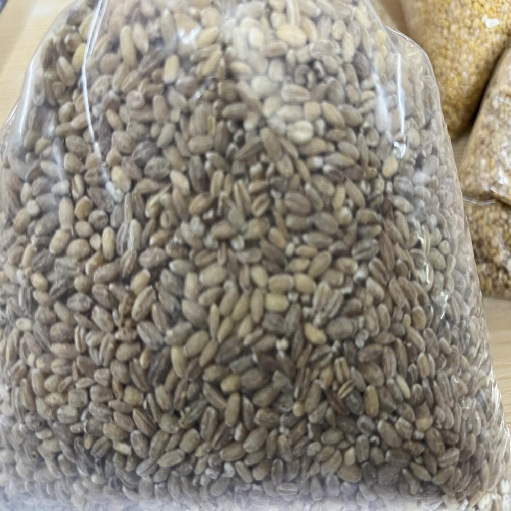 Loose Wheat Grains