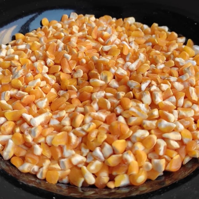 Broken Maize Feed