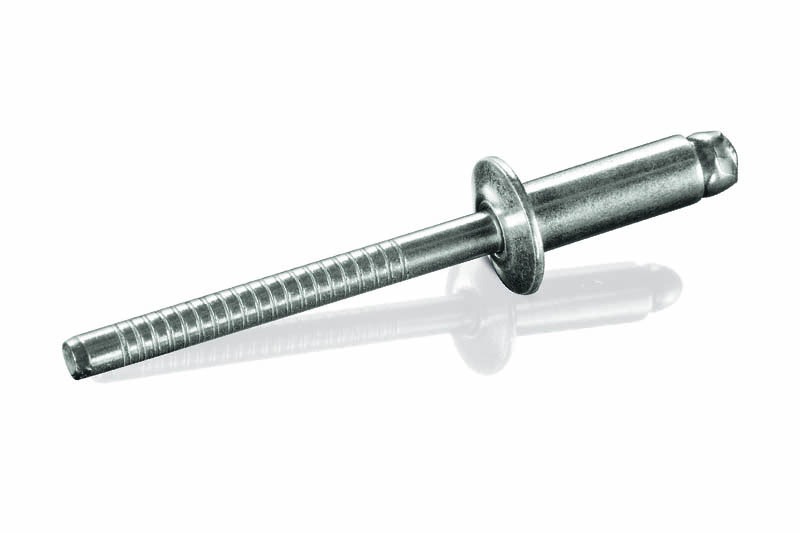 Ss Rivet - Head Type: All Available