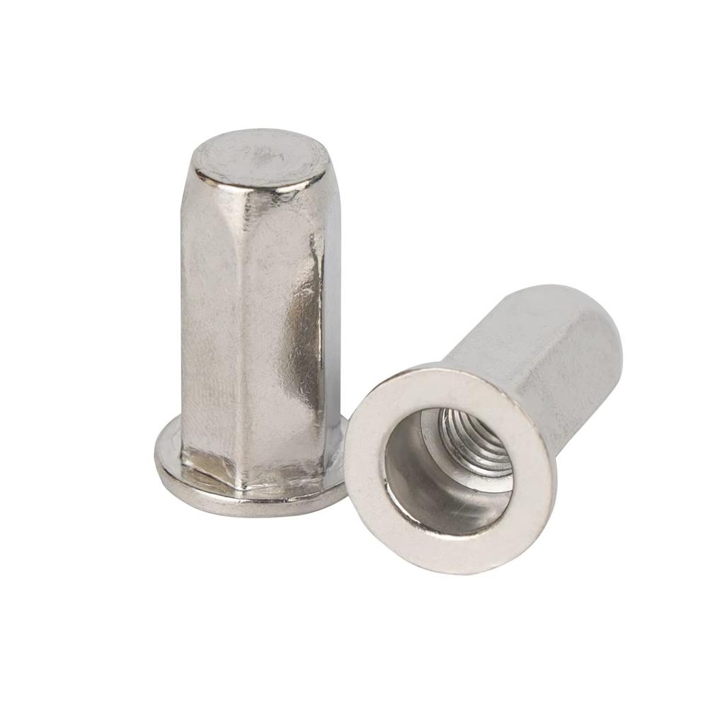Ss Insert Nut - Head Type: All Available