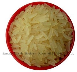 IR-36 भारतीय चावल