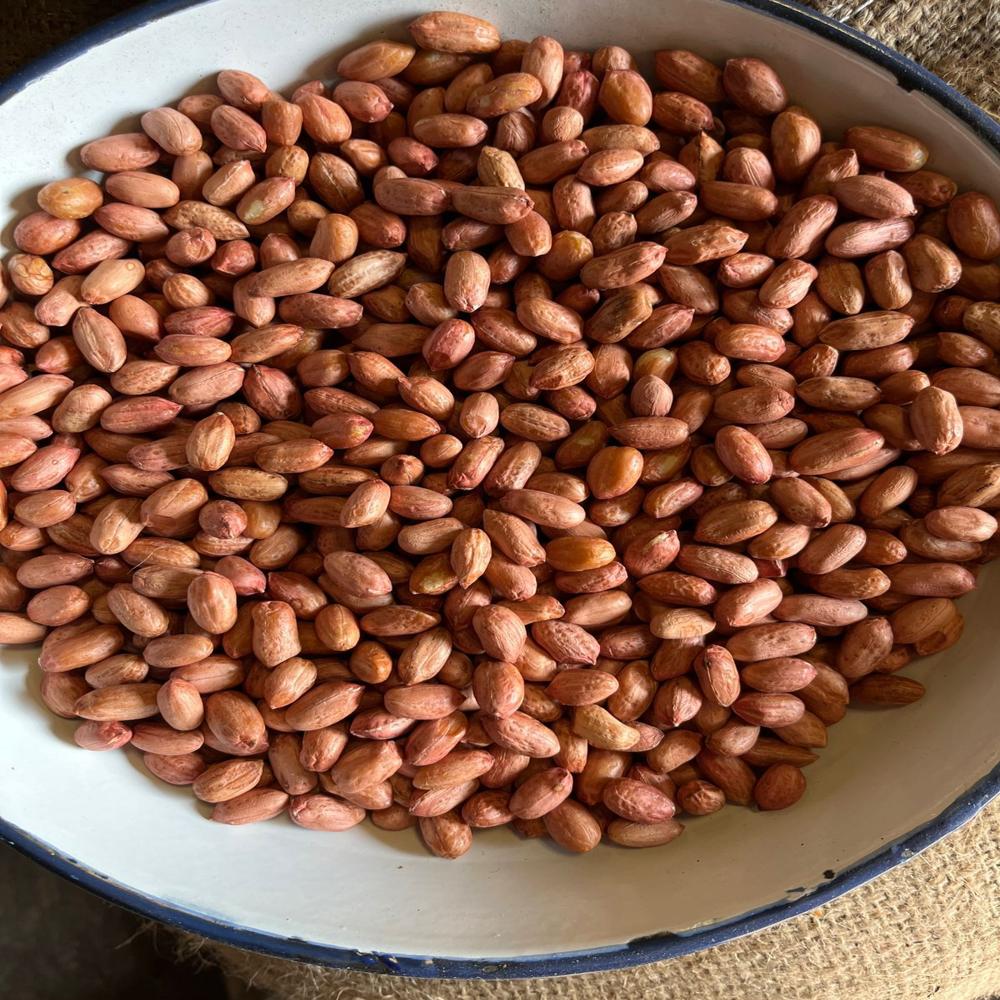 Peanuts(Bold, Java and TJ) 30/40, 40/50, 50/60, 60/70, 70/80, 80/90