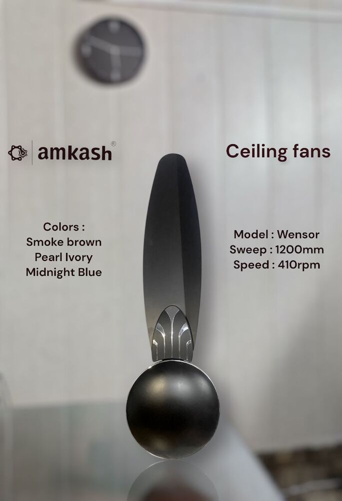 Wensor Ceiling Fan