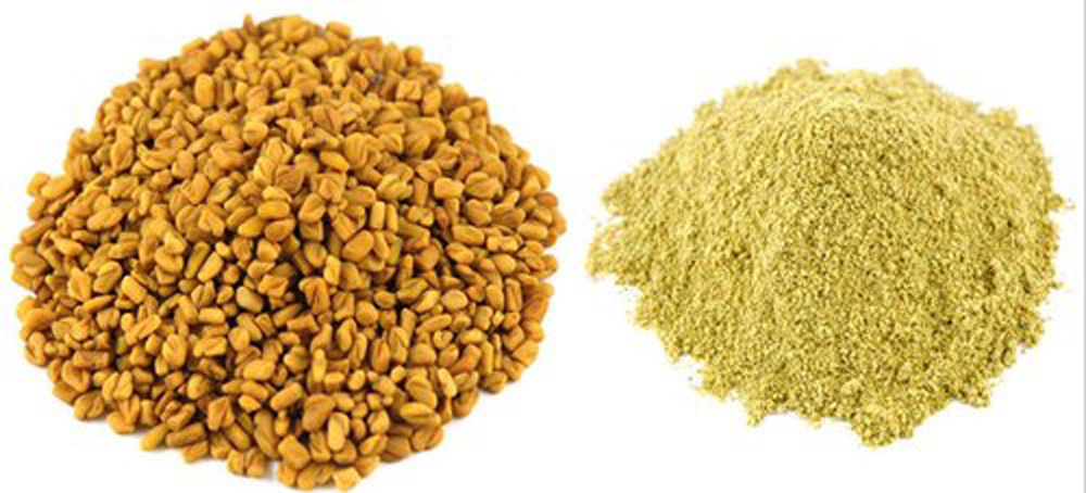 Methi Powder - Trigonella Powder - Fenugreek Seed Powder - Vendhayam Powder
