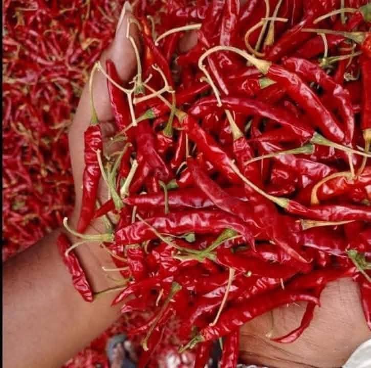 Dry Red Chili (s17, S18, S4, Byadgi) - Bright Red, Whole With Stem, 10% Moisture, Aromatic Spicy Flavor