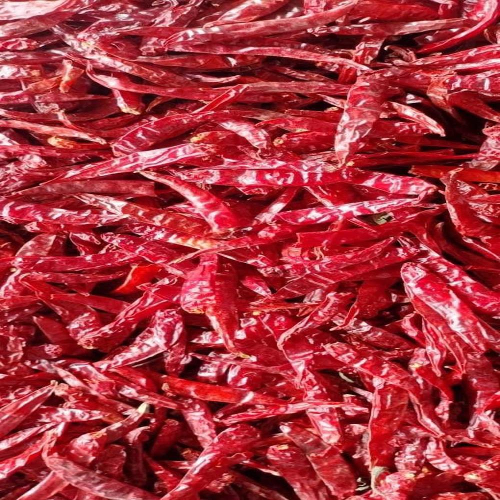Dry Red Chili(S17, S18, S4, Baidyagi) Stemless