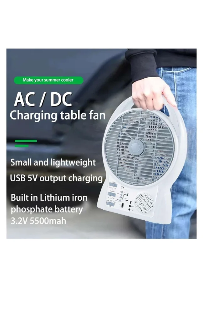 Rock Light RL-F-8003 Table Fan