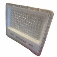 100W LED Flood Light