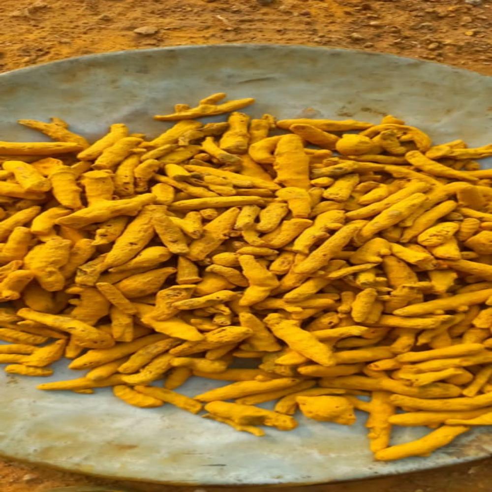Turmeric Finger(Sangli, Erode, Nizamabad, Lakadong)