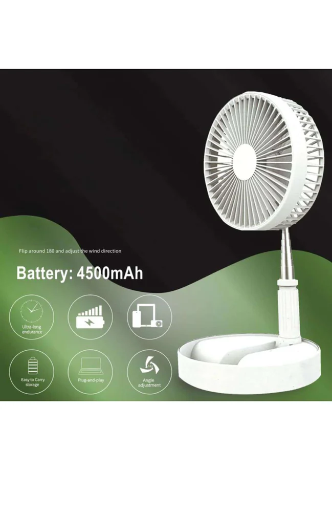 Rock Light RL-F-8005 Table Fan