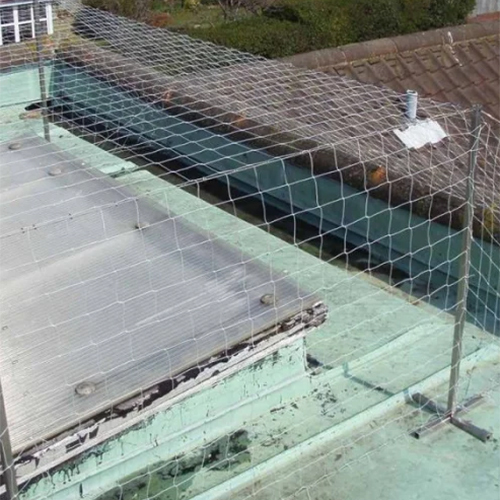 Anti Seagull Safety Nets Installation Service