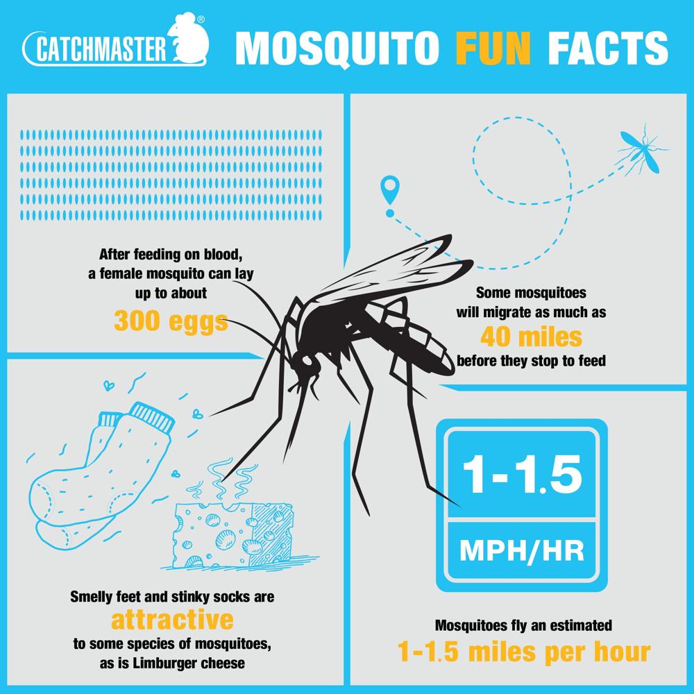 Catchmaster Luma Insect Trapper
