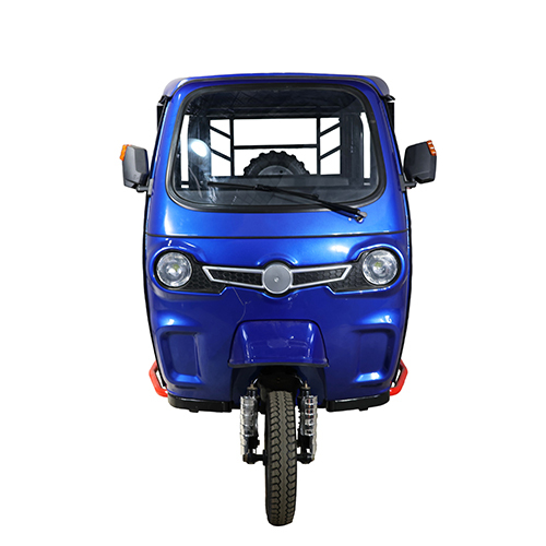 Qsd-joy Sport 1+8 Electric E Rickshaw