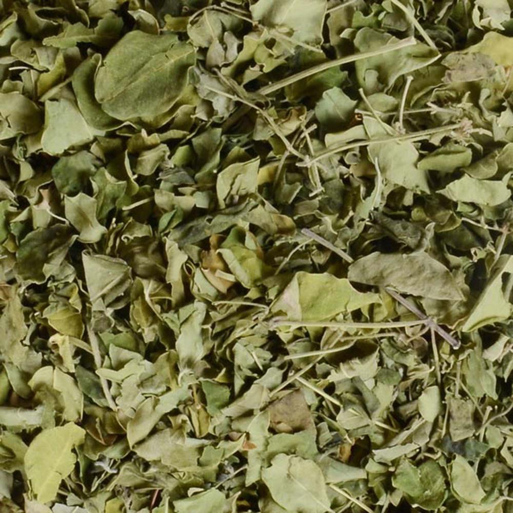 Dried Moringa Leaves - drumstick leaves 