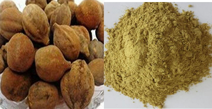 Terminalia Belerica - Bahera Chilka