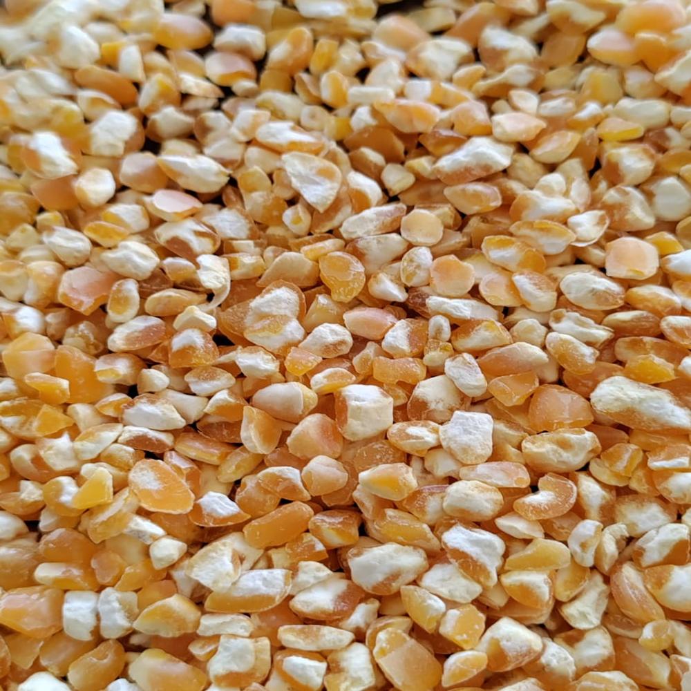 Broken Maize Cattle Feed - Color: Yellow