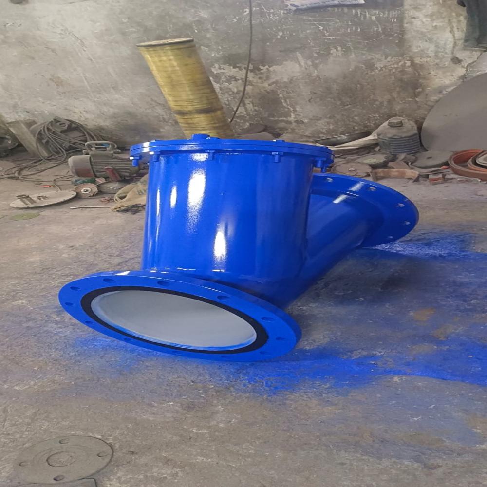 Ptfe Lined Y Strainer - Application: Water