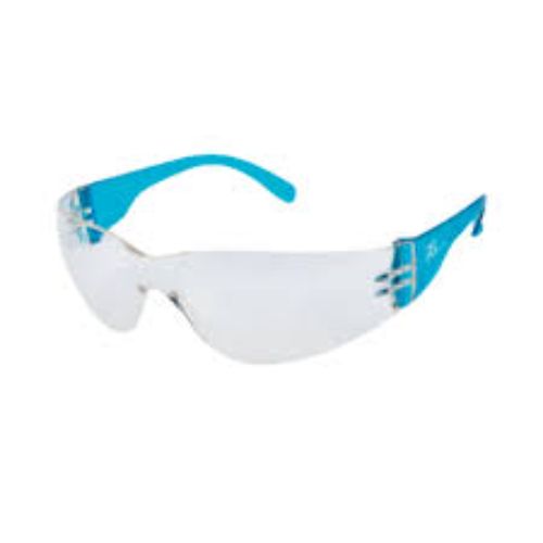 ESD Goggle