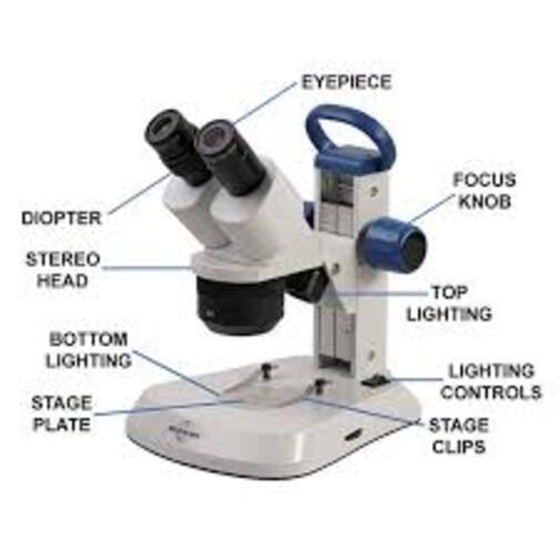 Stereo Binocular Microscope