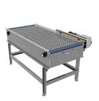 Arb_ball Transfer Table Conveyor - Belt Type: No Belt