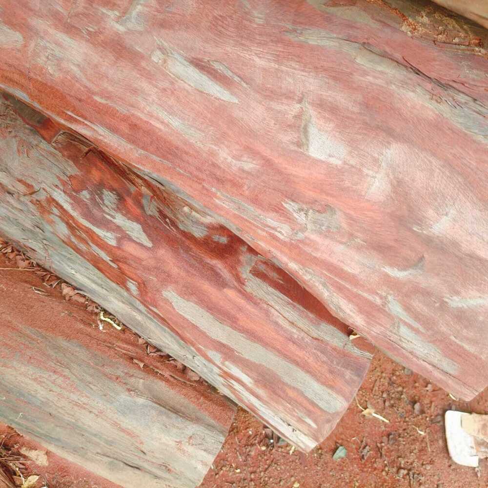 Red Sandalwood Raw Logs