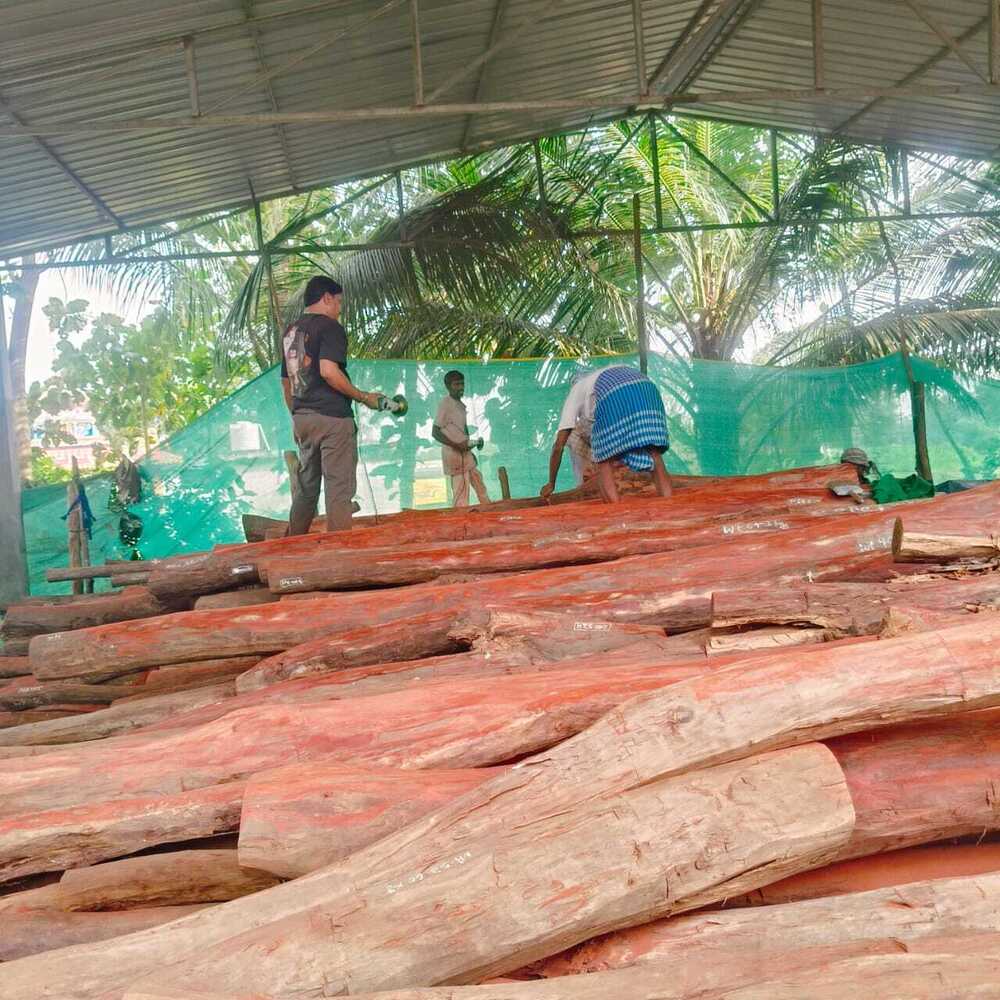 Red Sandalwood Processing Logs