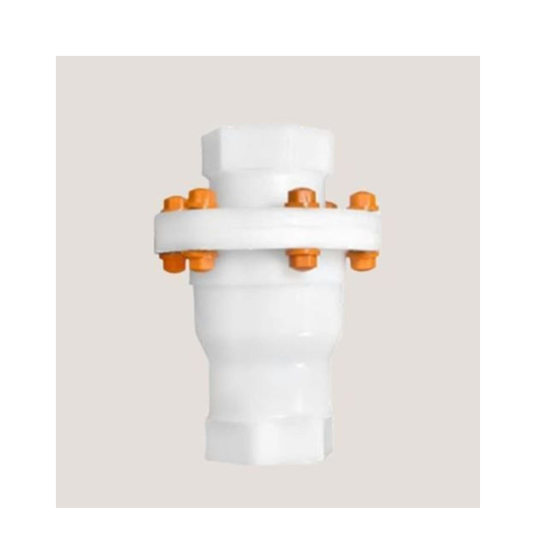 PP NRV Threaded 1 Inch Water Supply Non Return Valves 