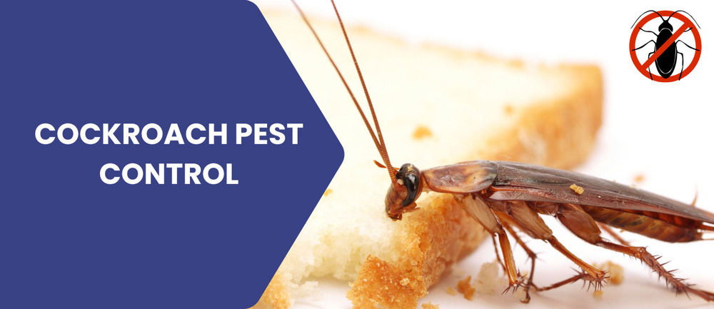 Cockroach Pest Control Services
