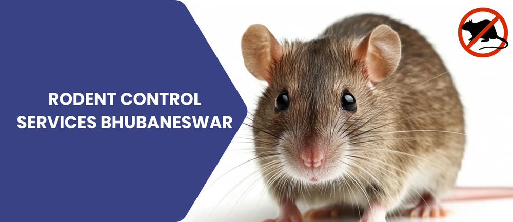 Rodent Control Services