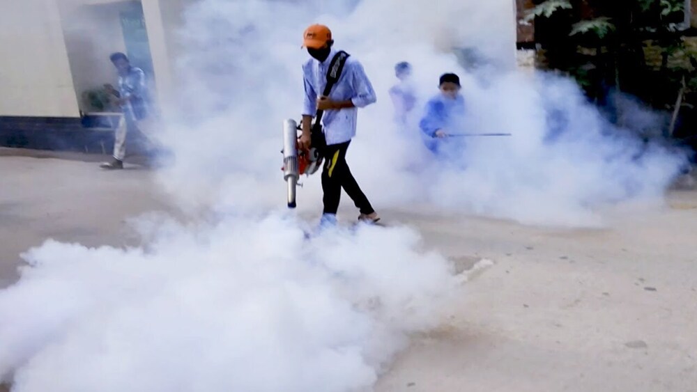 Quick Fogging Treatment