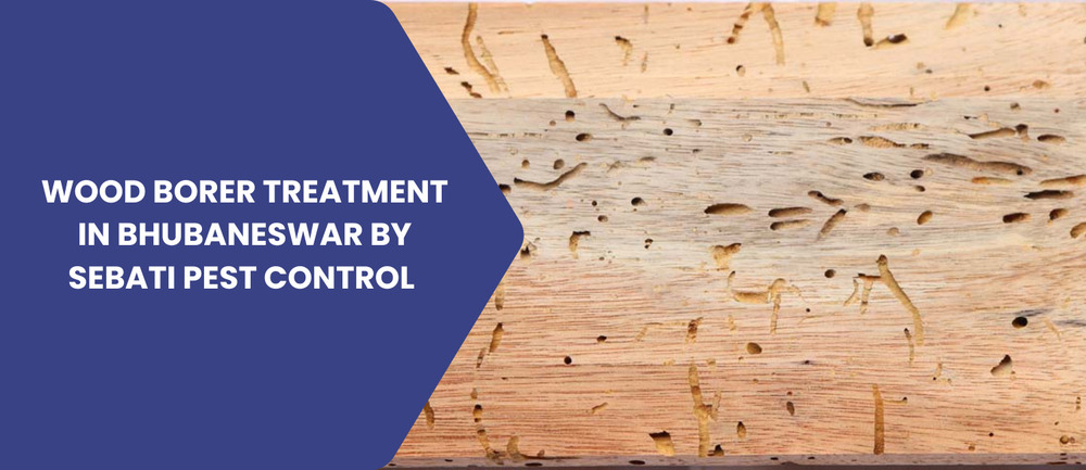 Wood Borer Treatment