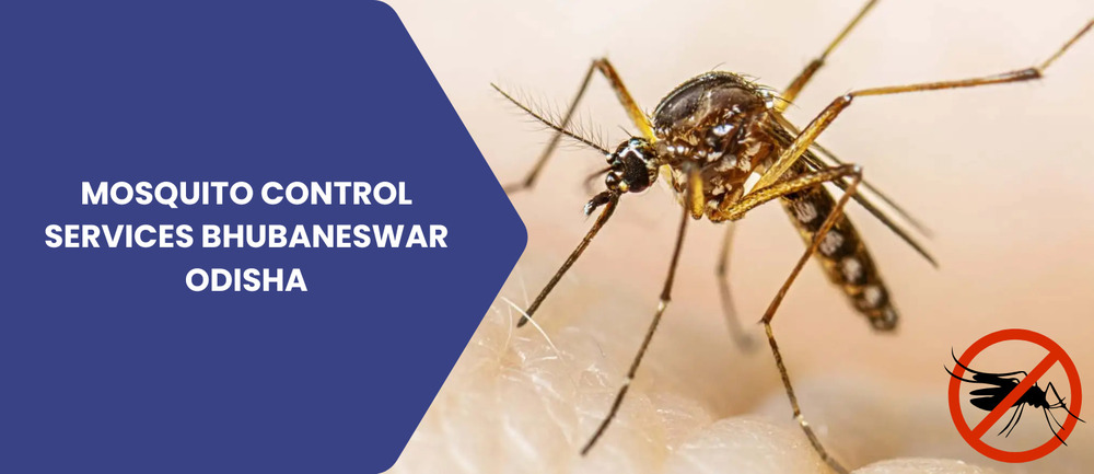 Best Mosquito Control Services