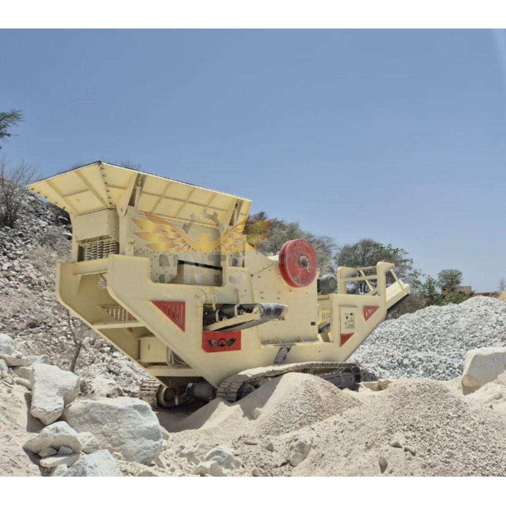 Mild Steel Coal Chain Mounted Mobile Plant