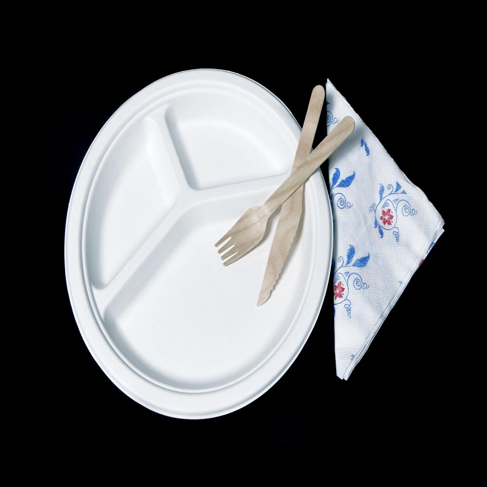 3 compartment Bagasse Plate