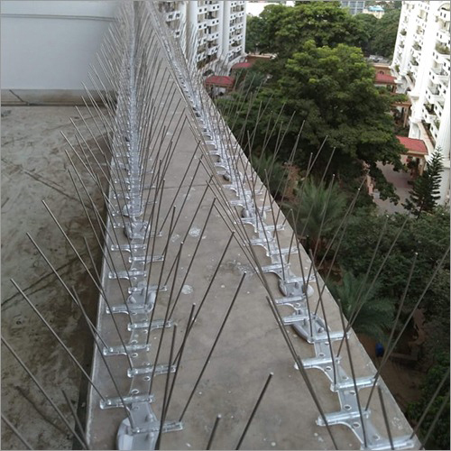 Bird Spike Installation in Delhi NCR