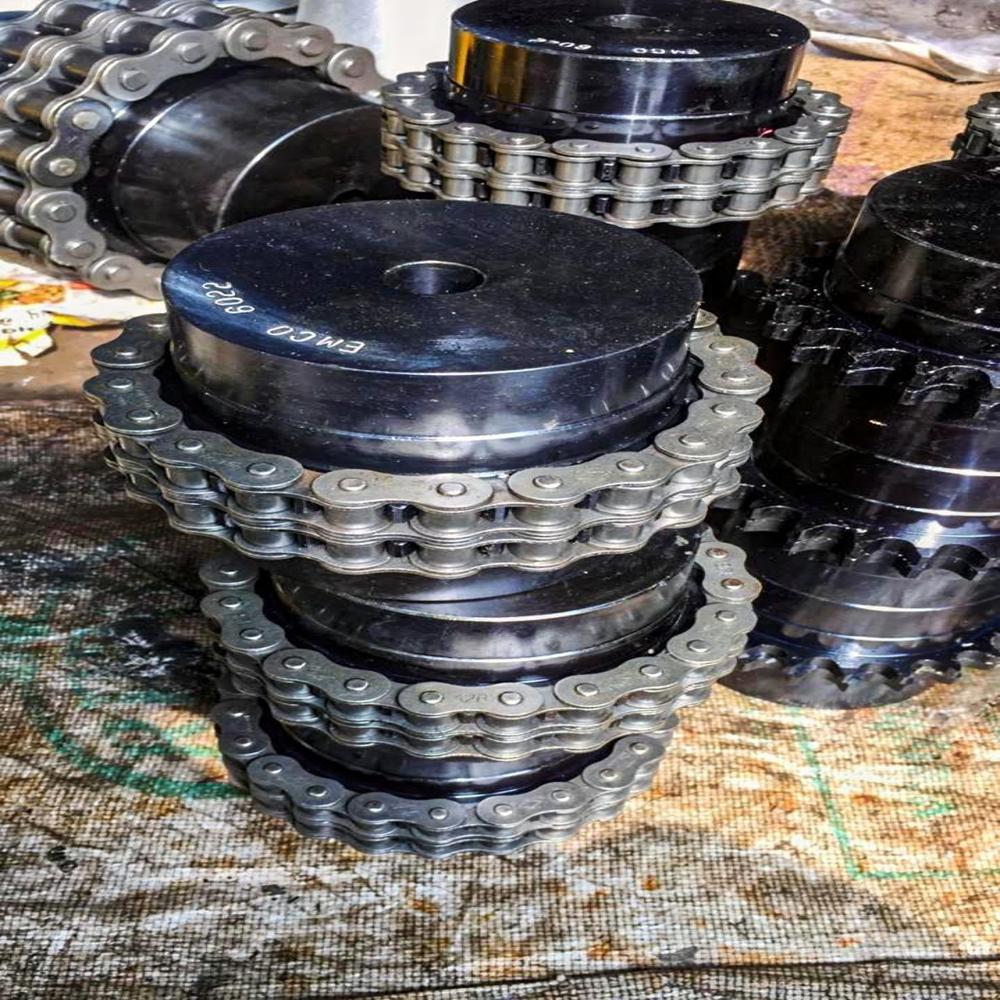 Chain Coupling - Application: Power Transmission