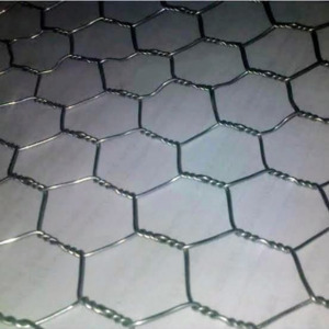 Hexagonal Wire Mesh