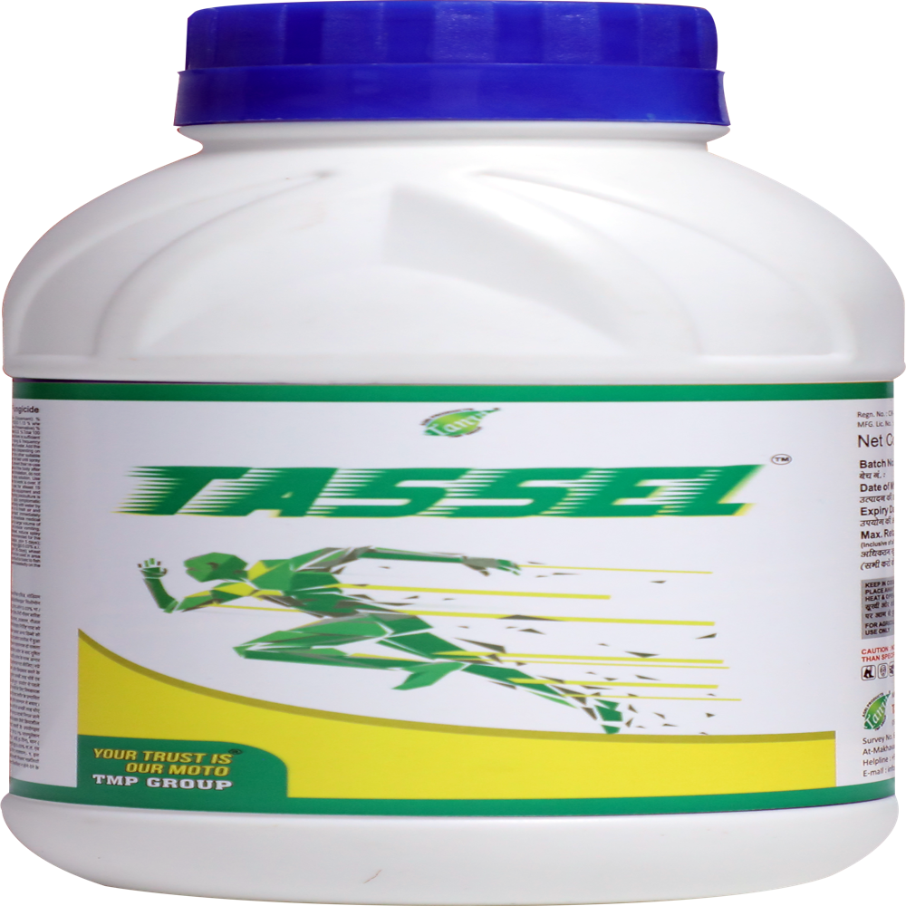  Azoxystrobin 18.2% + Difenoconazole 11.4% Sc